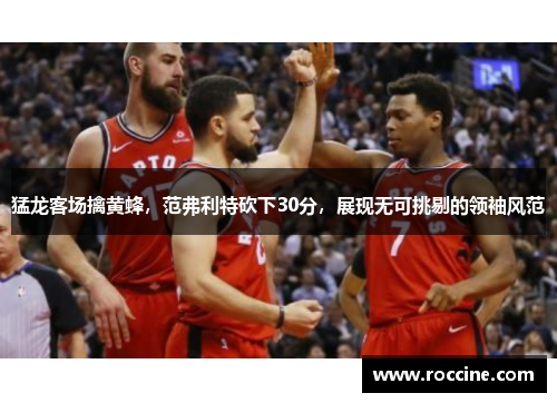 猛龙客场擒黄蜂，范弗利特砍下30分，展现无可挑剔的领袖风范