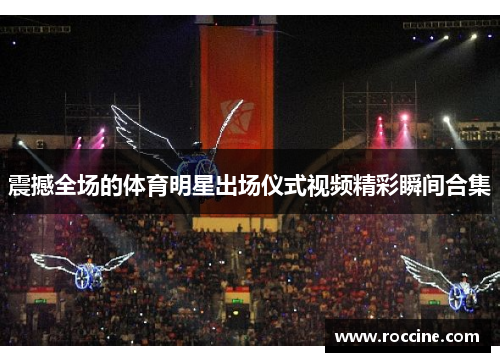 震撼全场的体育明星出场仪式视频精彩瞬间合集